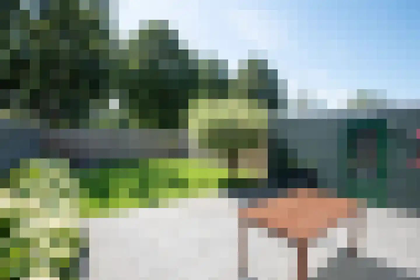 Zwanebloem 1 Zwaag thumbnail 41