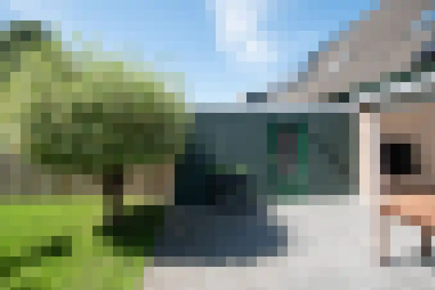 Zwanebloem 1 Zwaag thumbnail 42