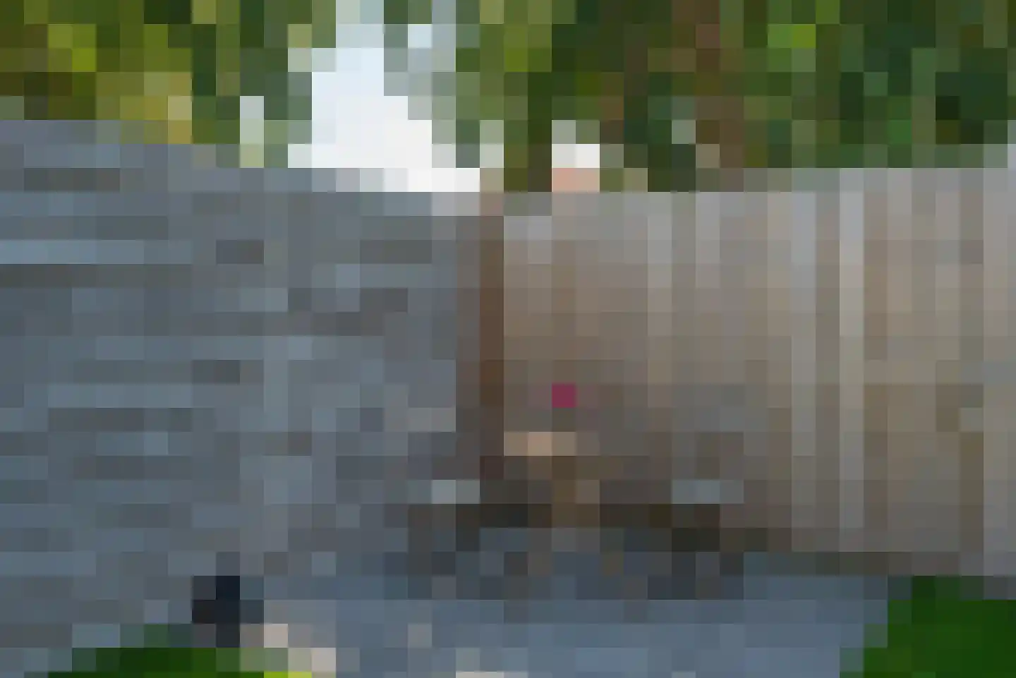 Zwanebloem 1 Zwaag thumbnail 43