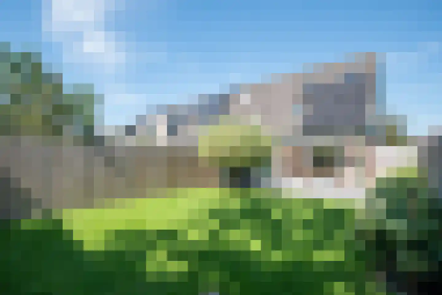Zwanebloem 1 Zwaag thumbnail 44