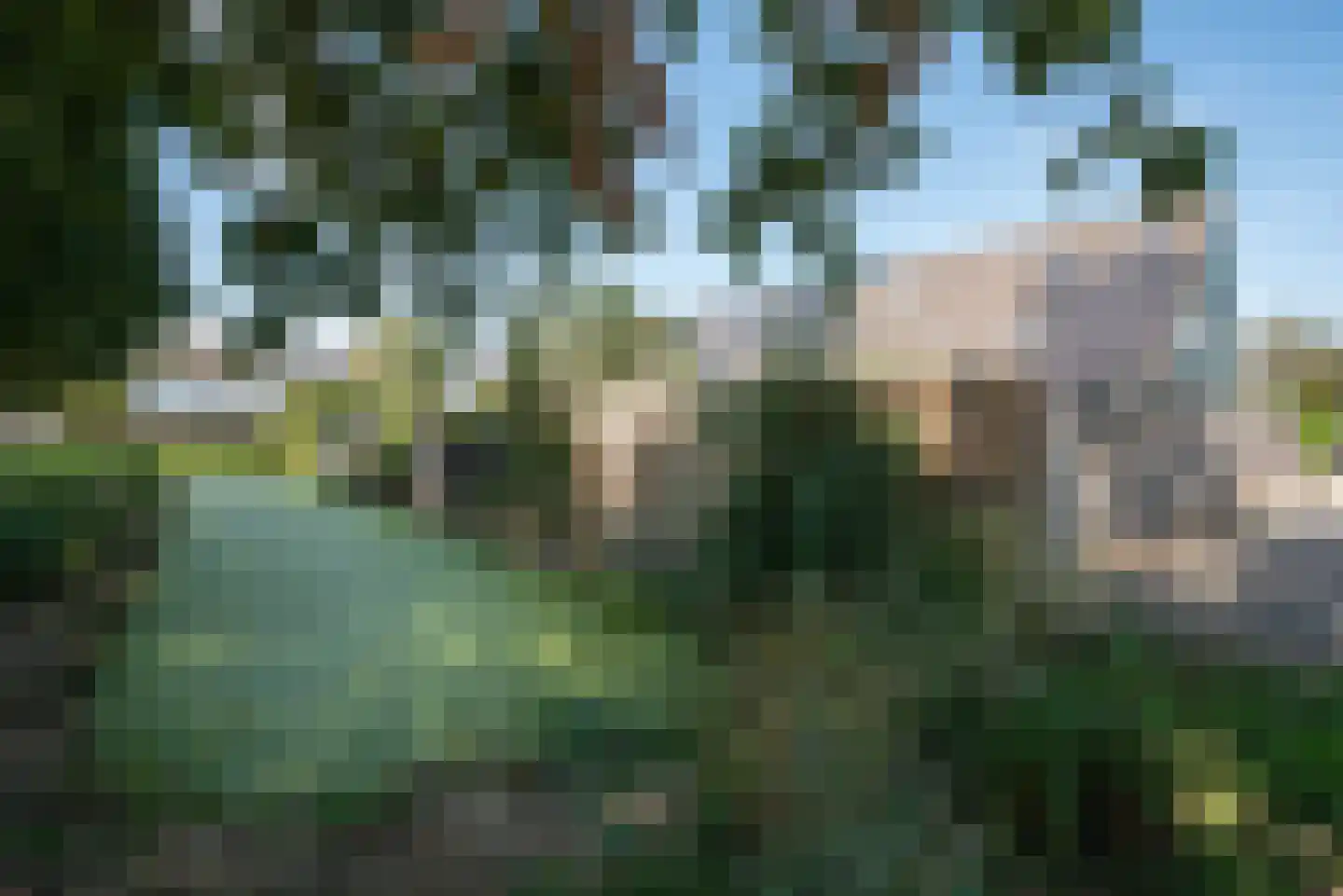 Zwanebloem 1 Zwaag thumbnail 46