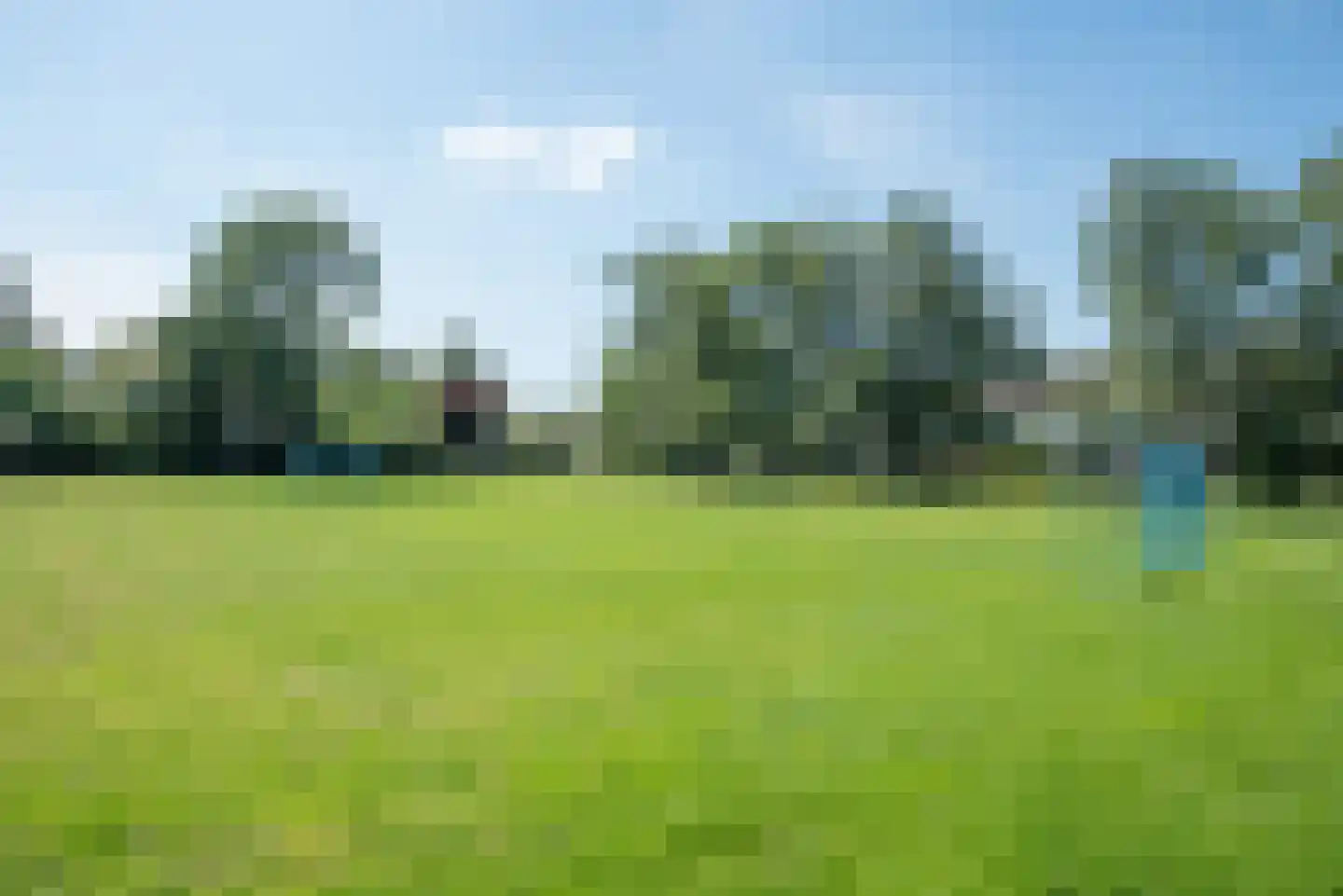 Zwanebloem 1 Zwaag thumbnail 48
