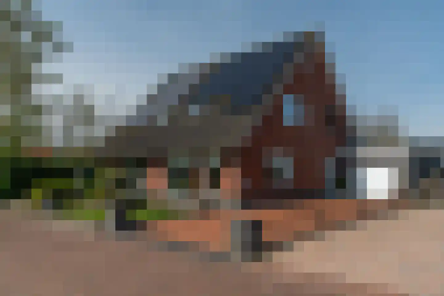 Zwanebloem 10 in Kollum