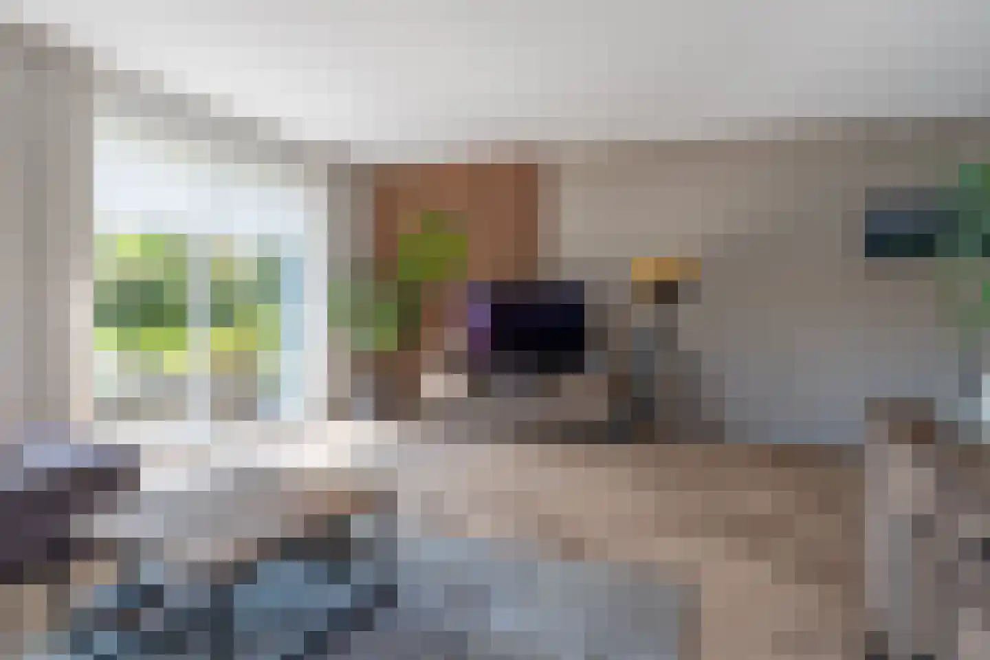 Zwanebloem 10 Kollum thumbnail 13