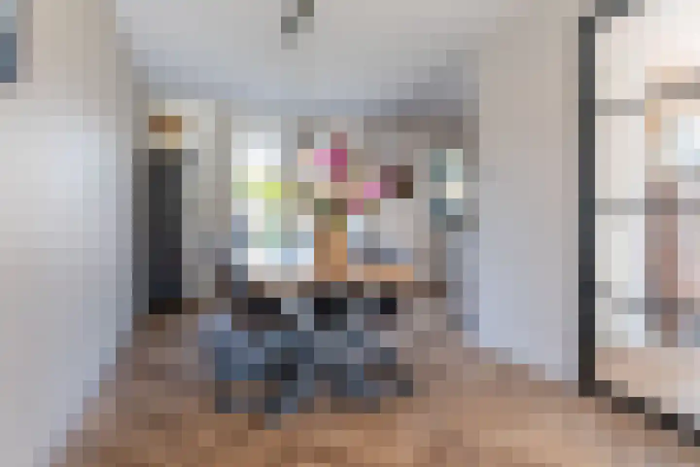 Zwanebloem 10 Kollum thumbnail 14