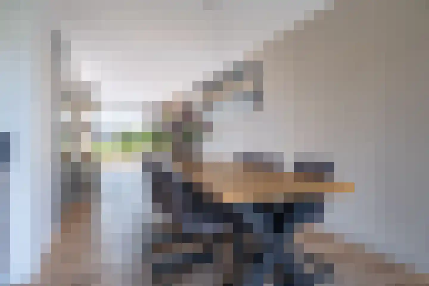 Zwanebloem 10 Kollum thumbnail 17