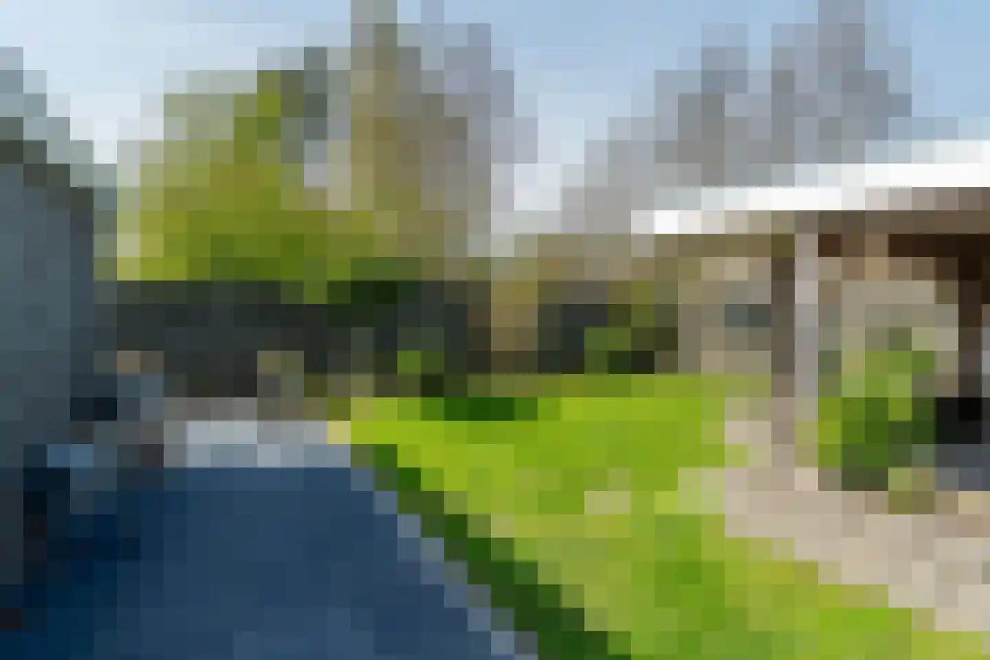 Zwanebloem 10 Kollum thumbnail 36
