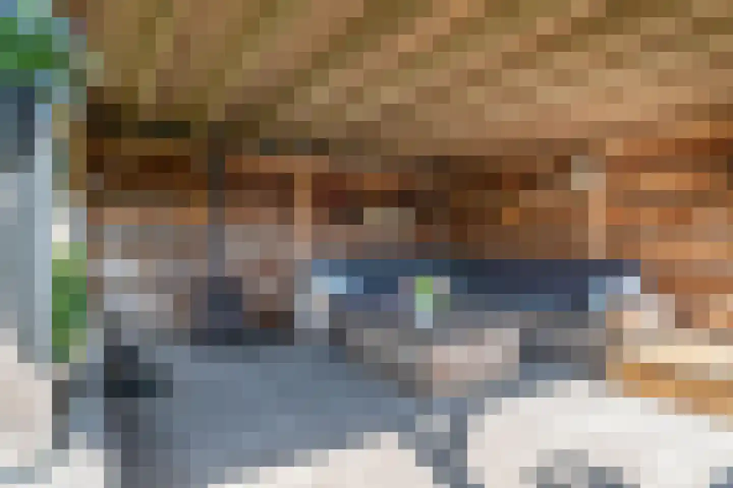 Zwanebloem 10 Kollum thumbnail 37