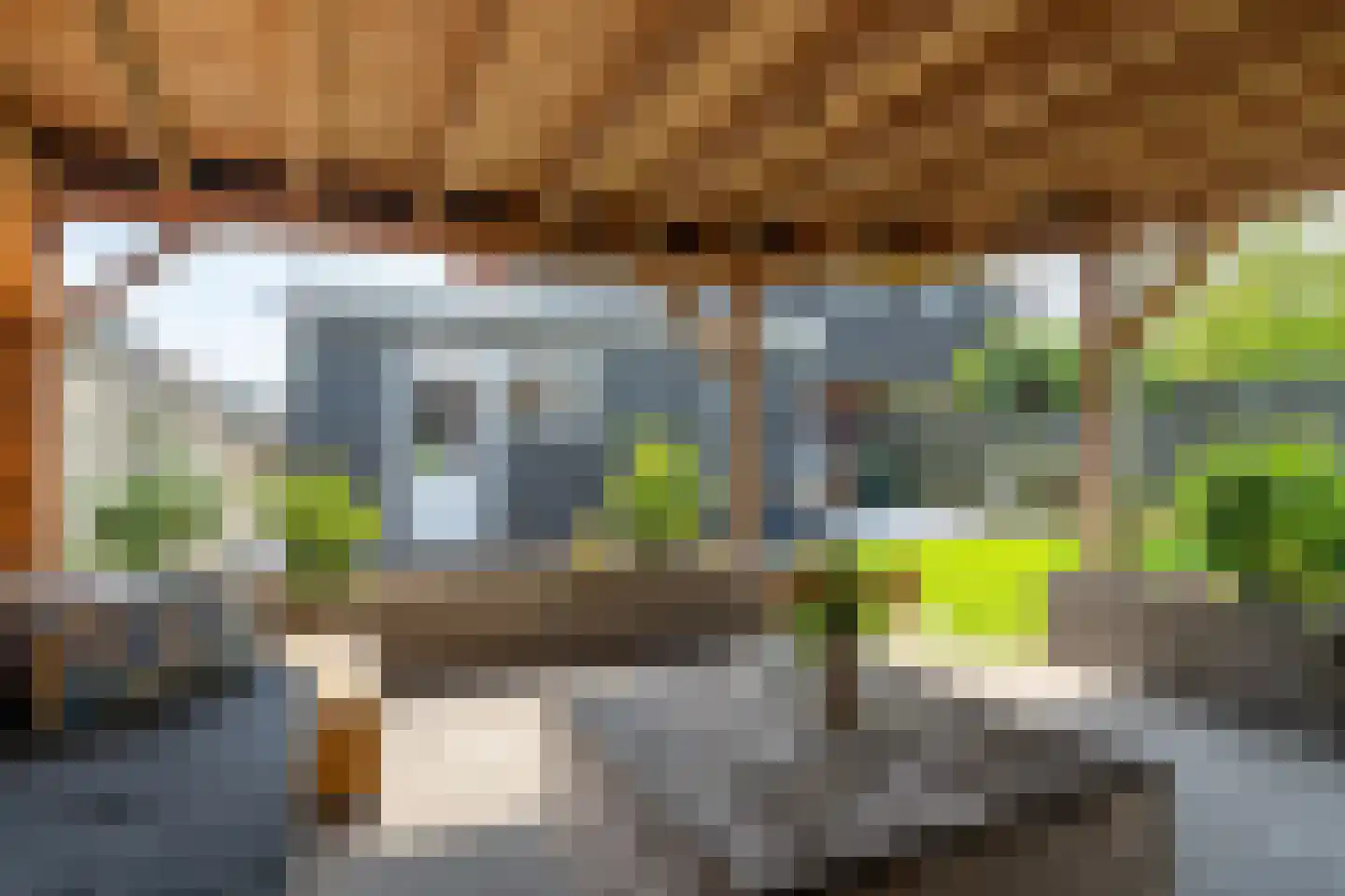 Zwanebloem 10 Kollum thumbnail 38