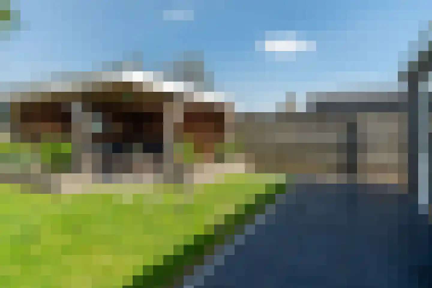 Zwanebloem 10 Kollum thumbnail 4