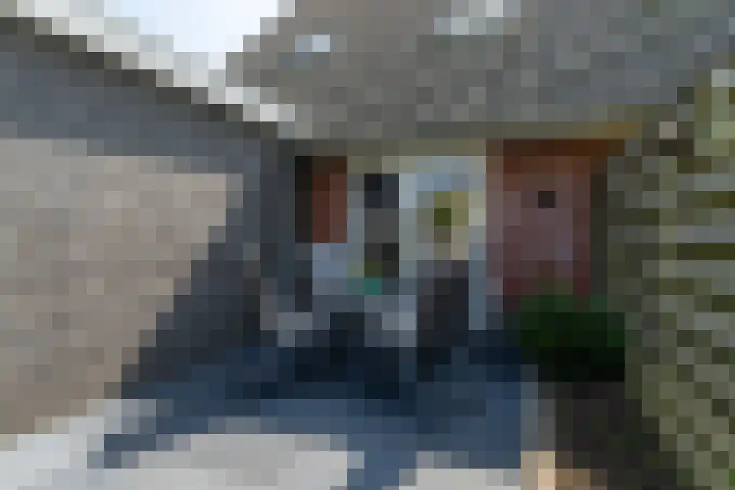 Zwanebloem 10 Kollum thumbnail 40