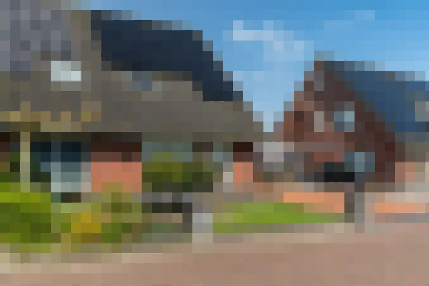 Zwanebloem 10 Kollum thumbnail 7