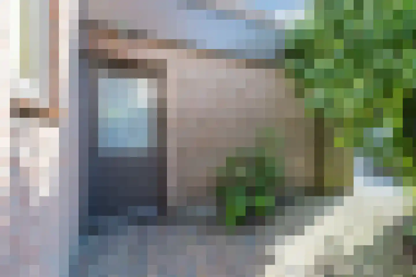 Zwanebloem 11 Bodegraven thumbnail 12