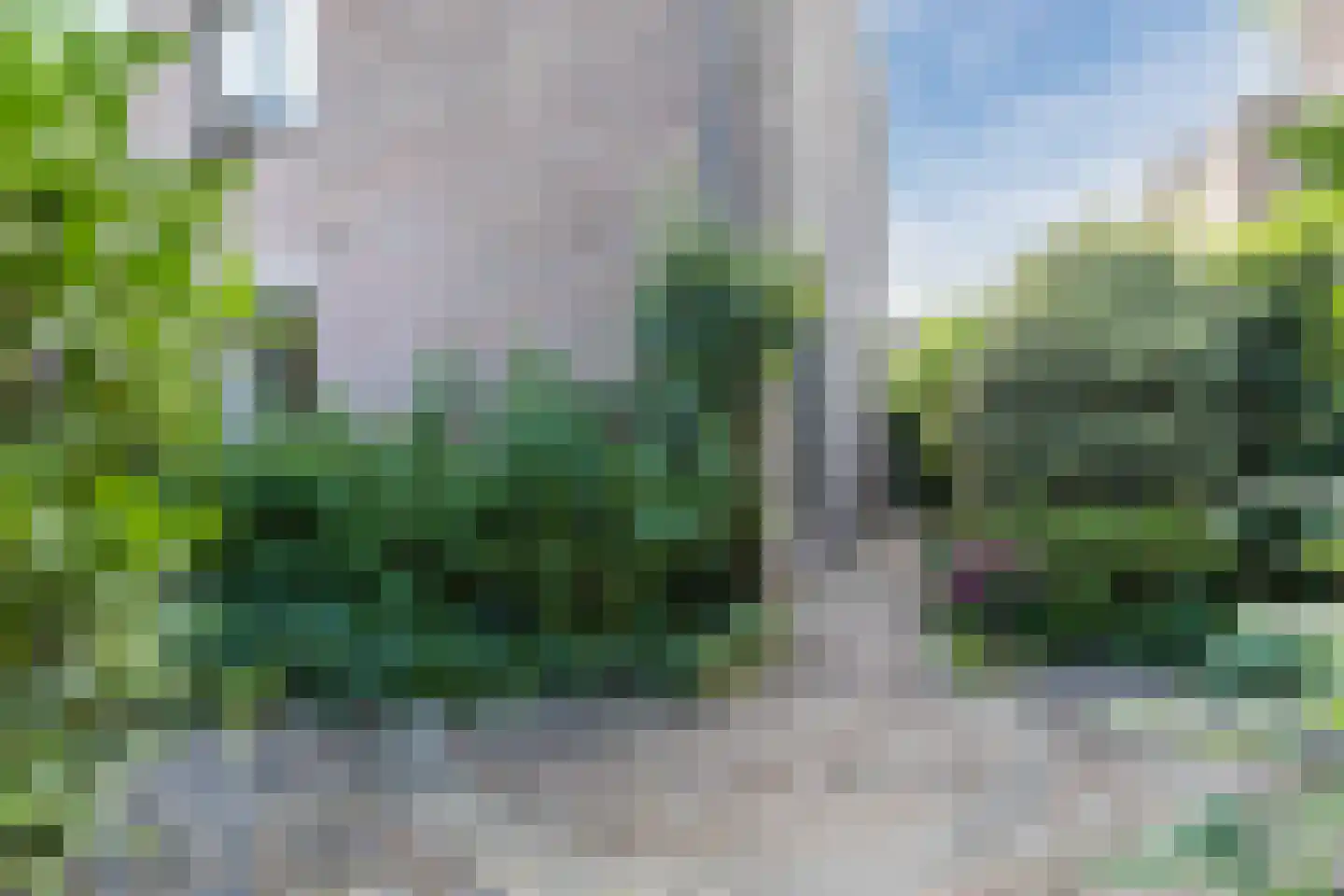 Zwanebloem 11 Bodegraven thumbnail 22