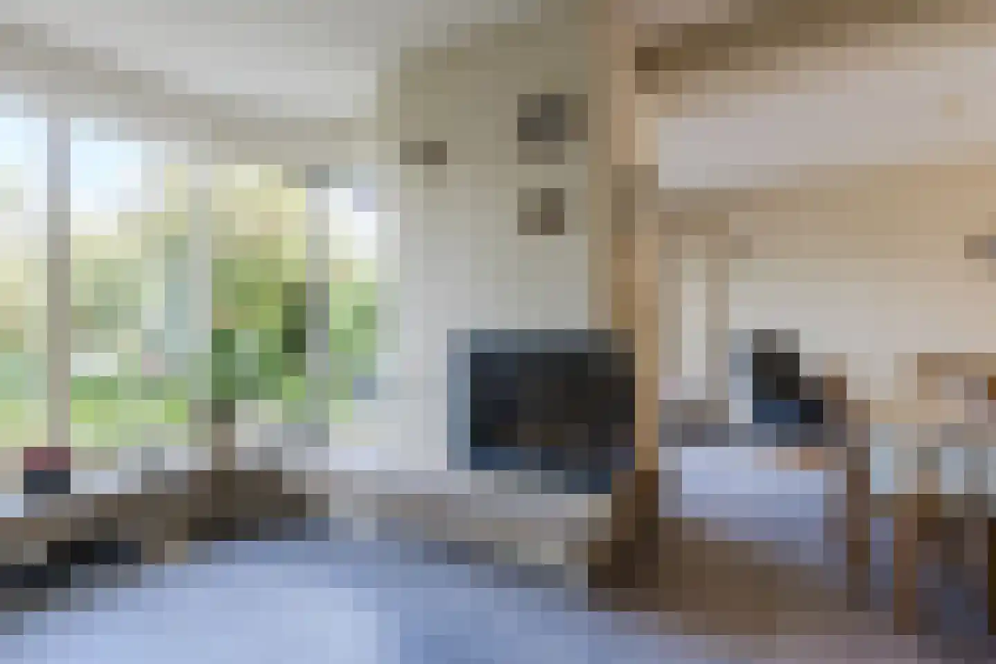 Zwanebloem 11 Bodegraven thumbnail 23