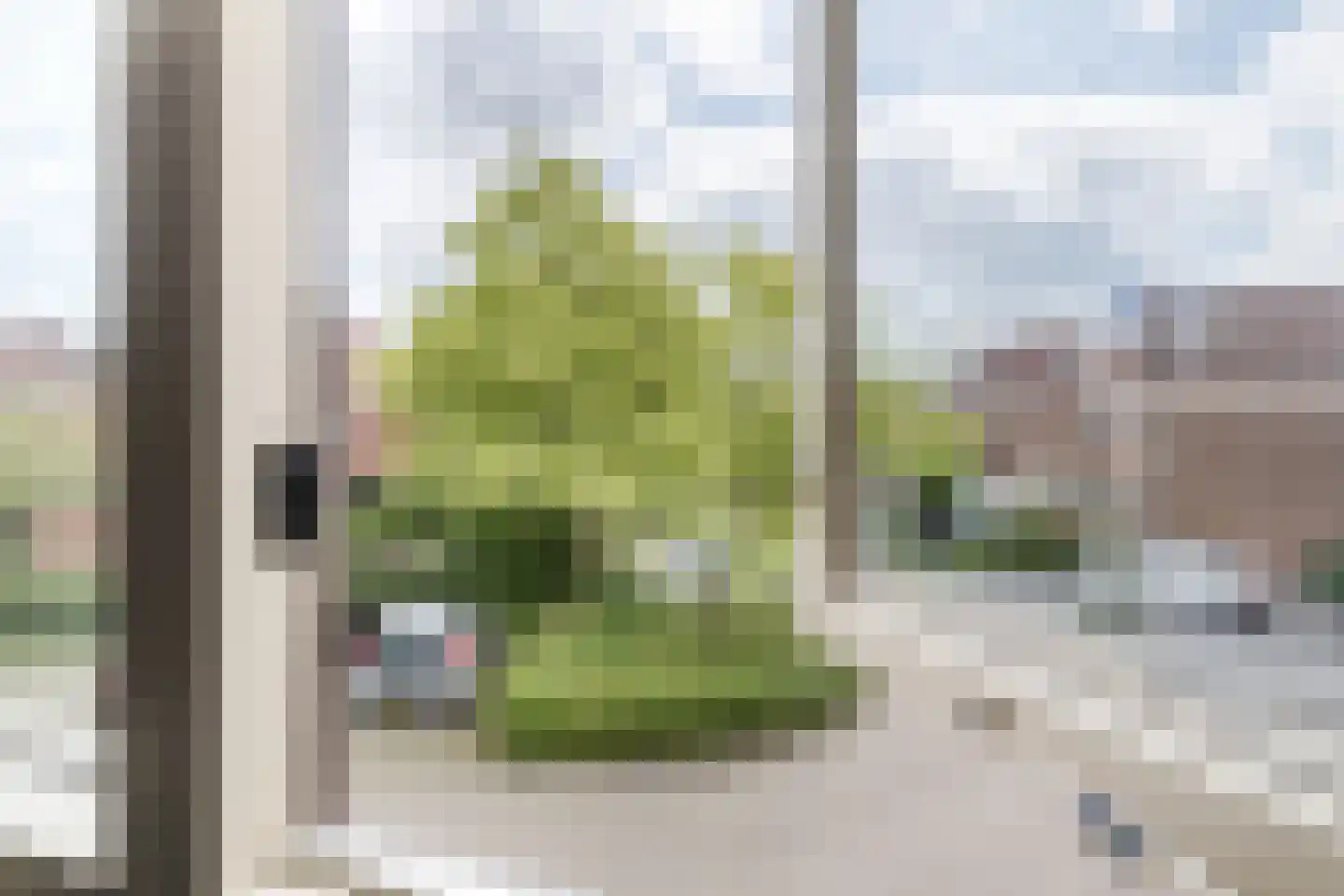 Zwanebloem 11 Bodegraven thumbnail 51