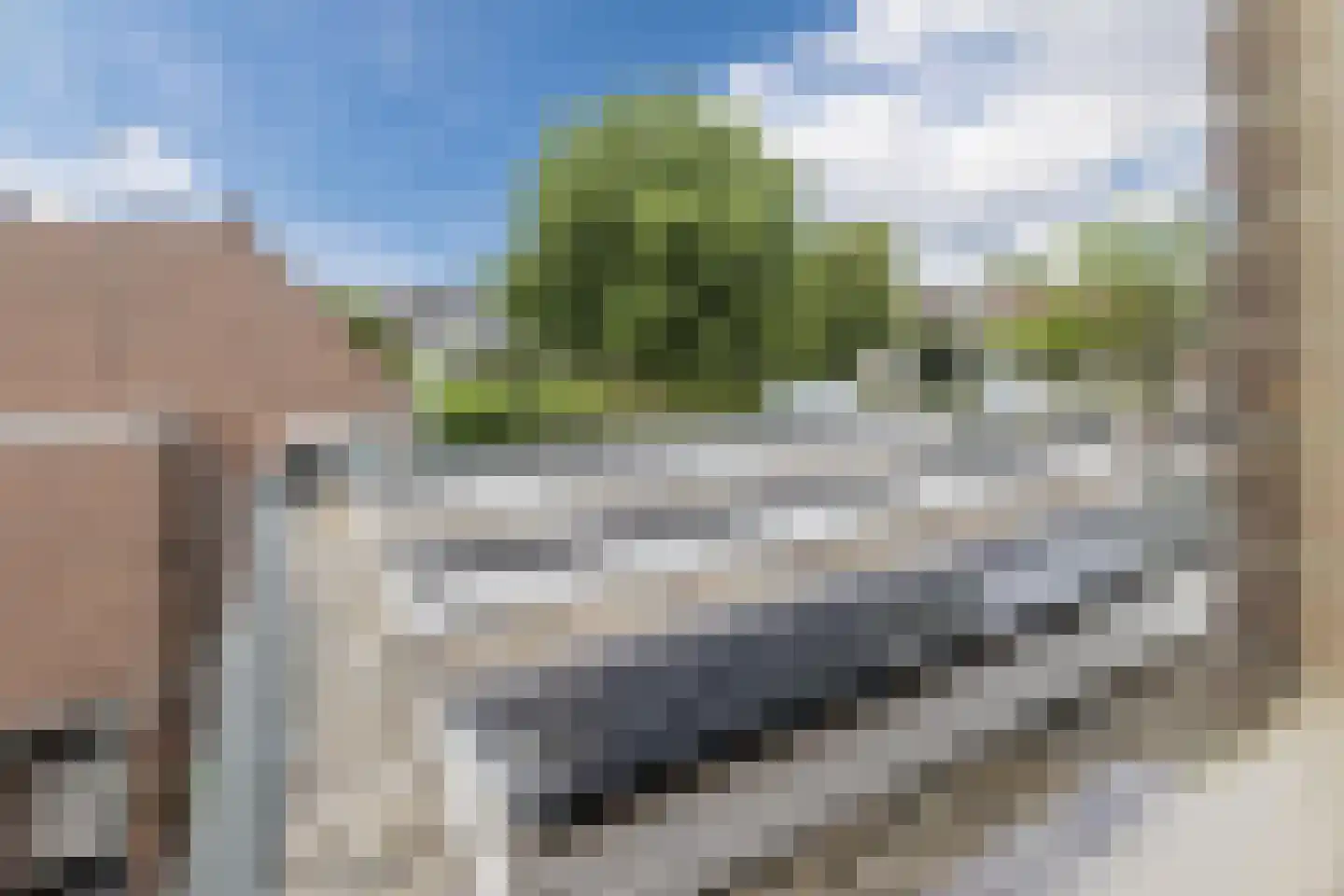 Zwanebloem 11 Bodegraven thumbnail 55