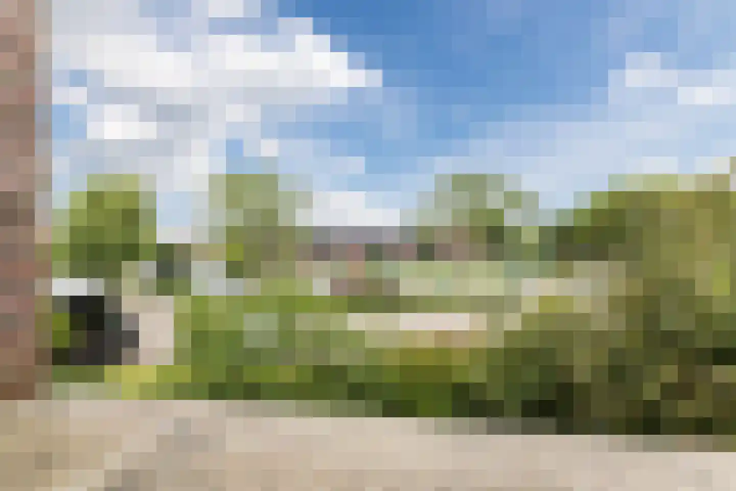 Zwanebloem 11 Bodegraven thumbnail 57