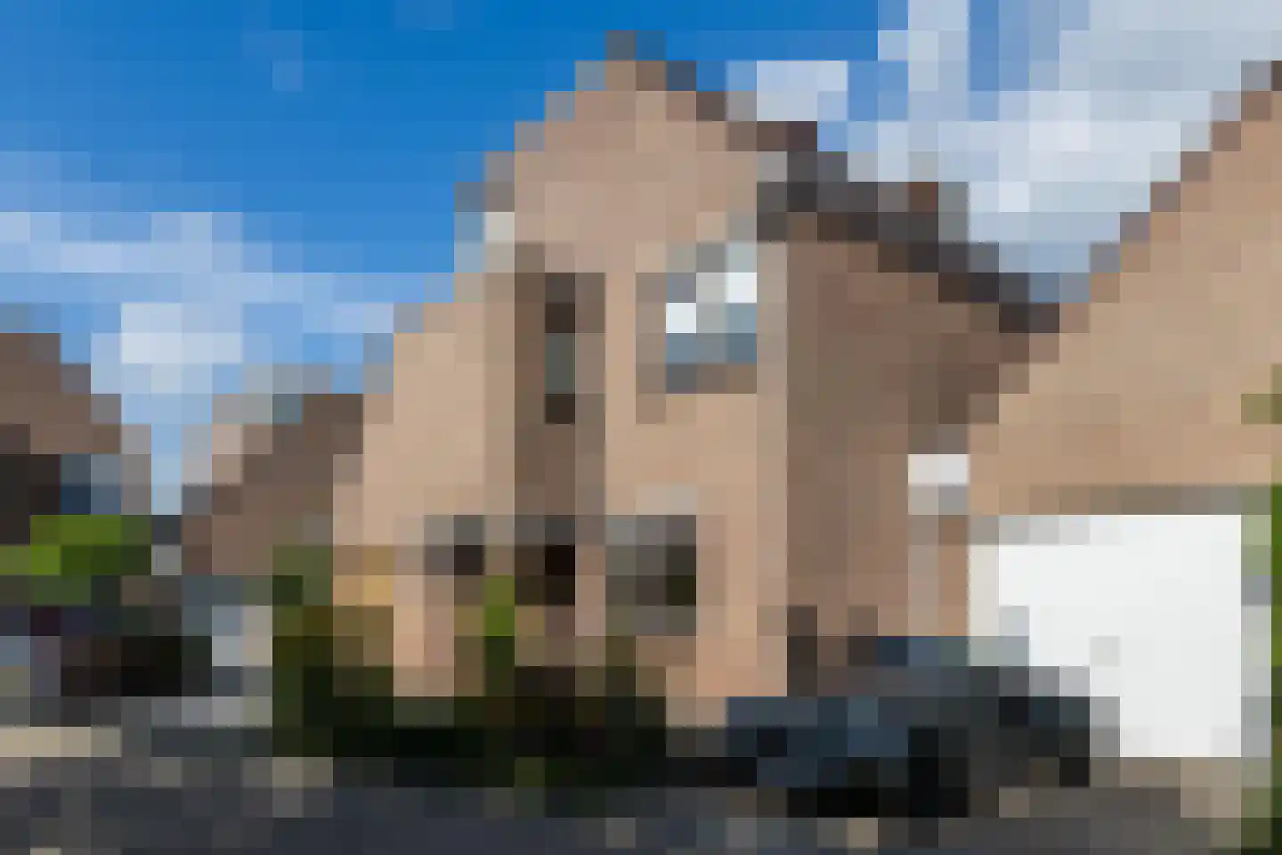 Zwanebloem 11 Bodegraven thumbnail 6