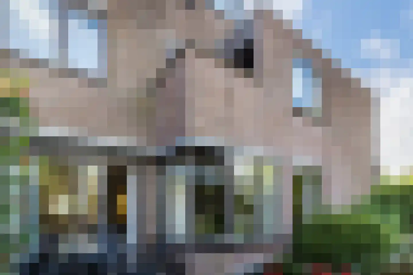 Zwanebloem 11 Bodegraven thumbnail 60