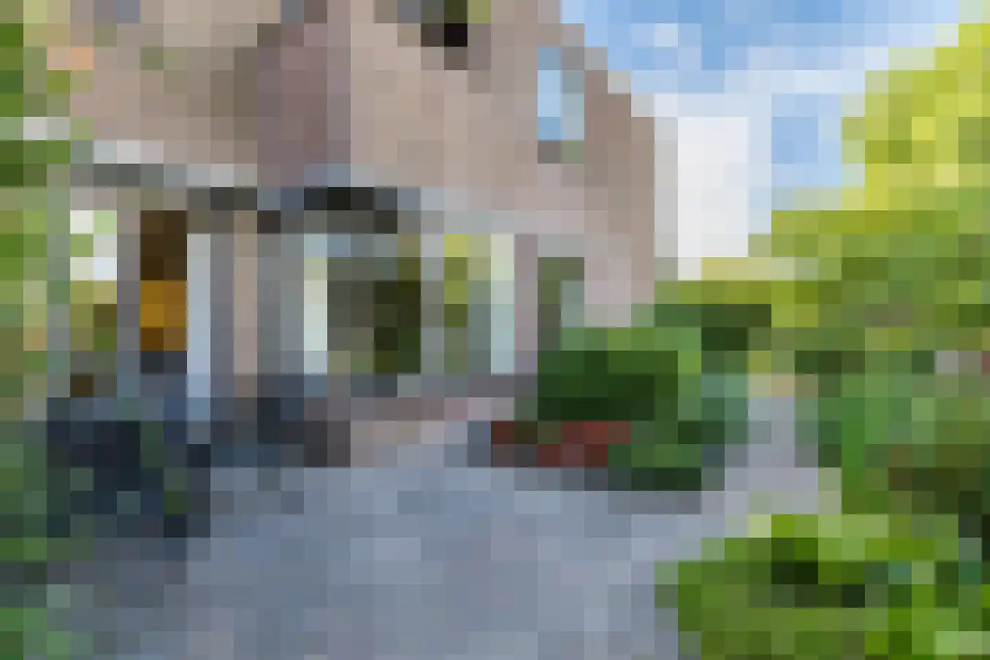 Zwanebloem 11 Bodegraven thumbnail 61