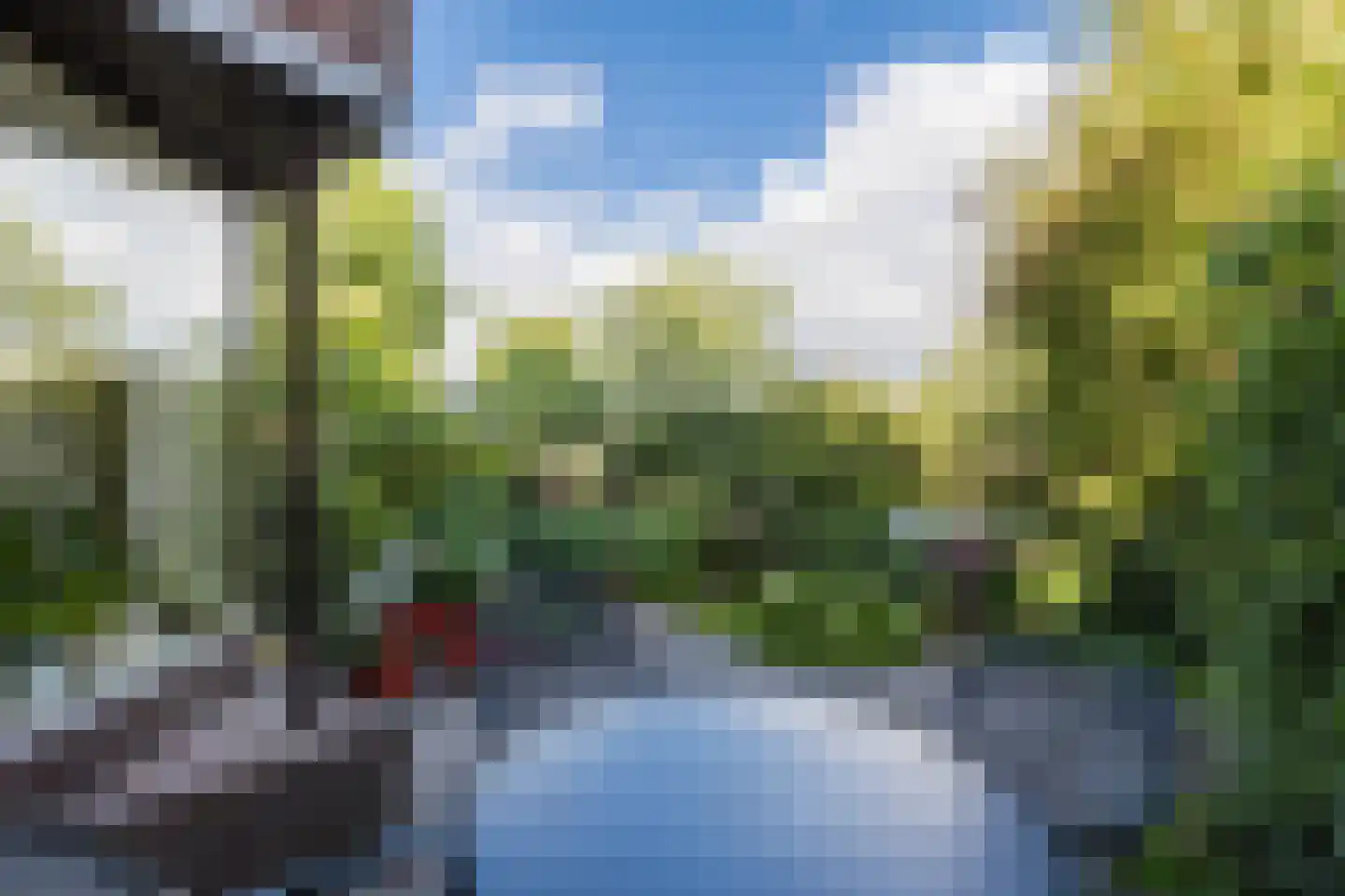 Zwanebloem 11 Bodegraven thumbnail 61