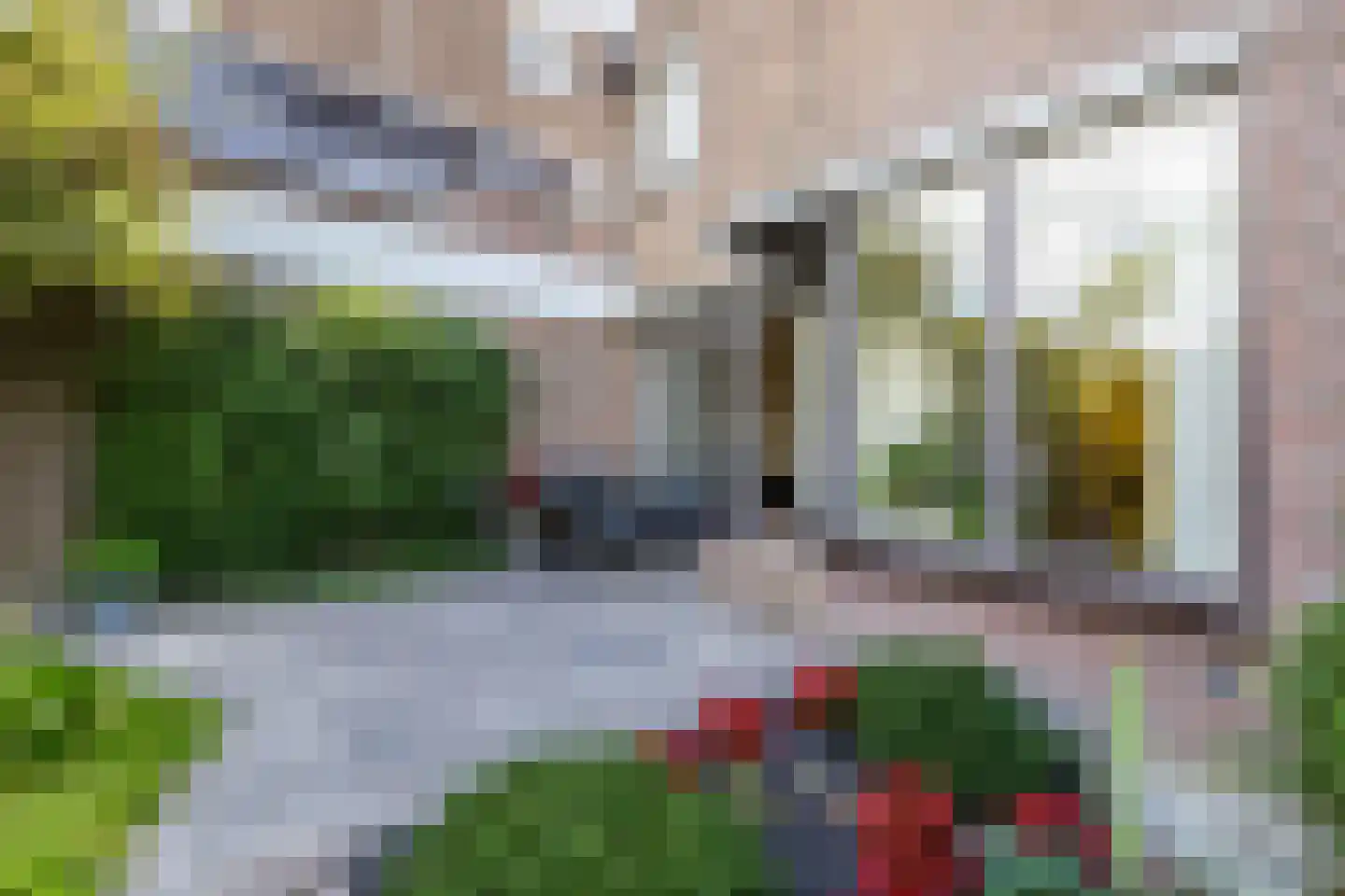 Zwanebloem 11 Bodegraven thumbnail 63