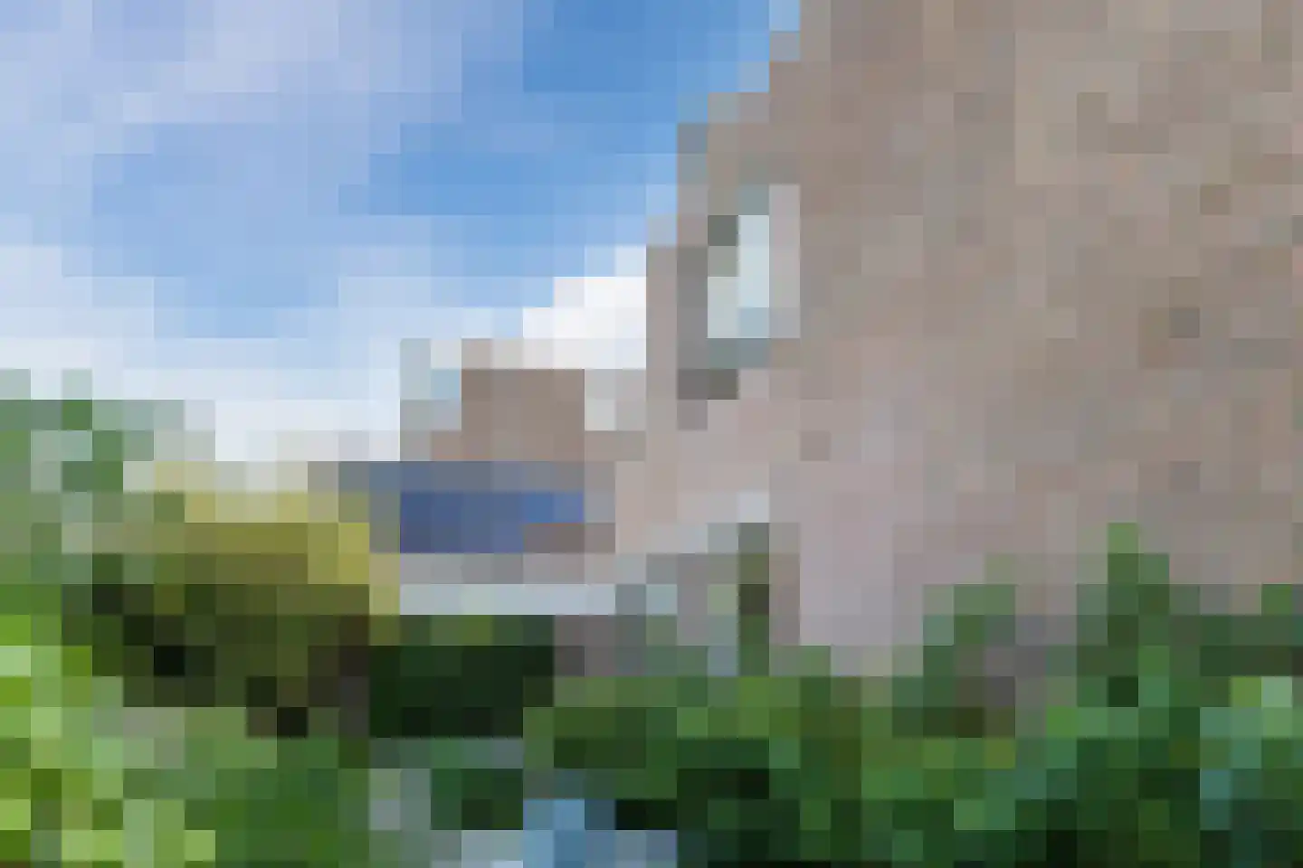 Zwanebloem 11 Bodegraven thumbnail 63