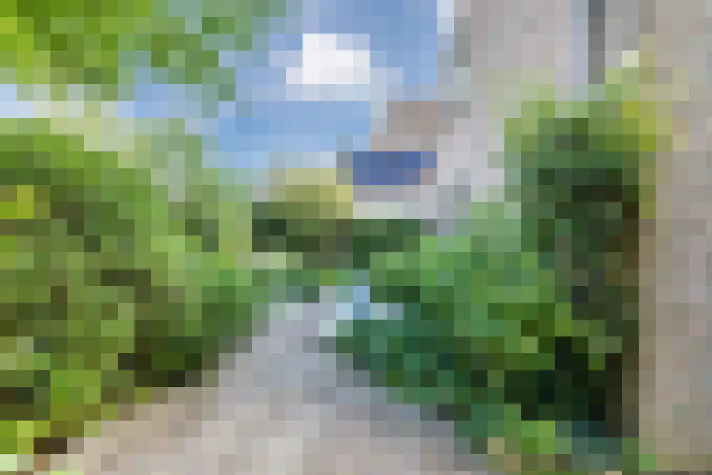 Zwanebloem 11 Bodegraven thumbnail 65