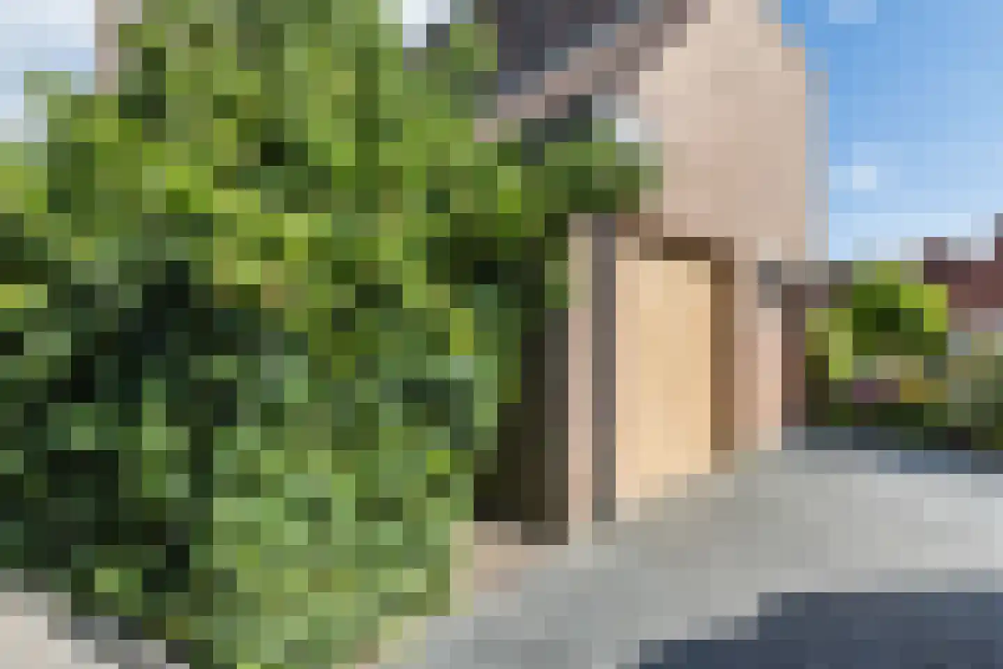 Zwanebloem 11 Bodegraven thumbnail 68