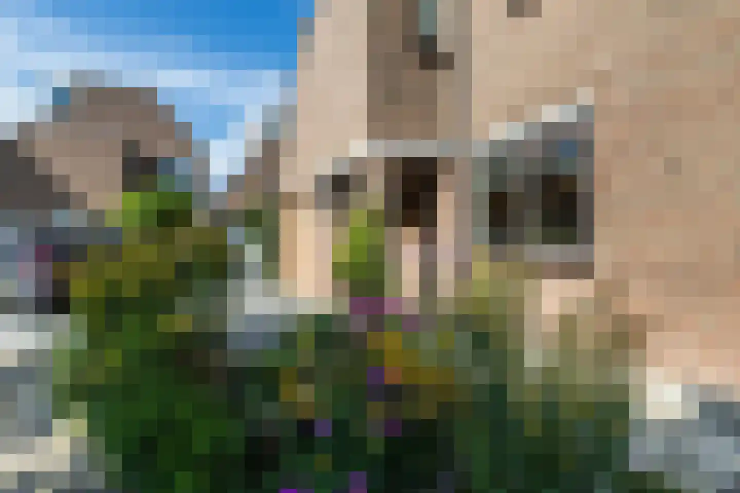 Zwanebloem 11 Bodegraven thumbnail 69