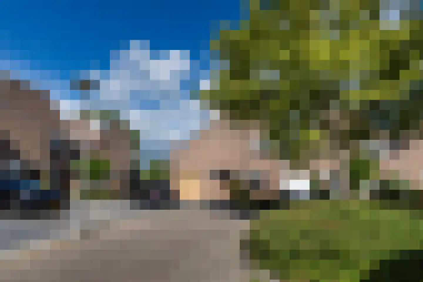 Zwanebloem 11 Bodegraven thumbnail 71