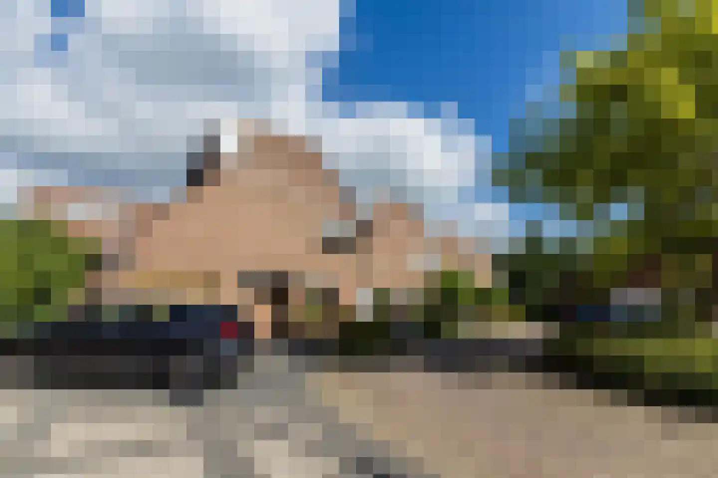 Zwanebloem 11 Bodegraven thumbnail 72