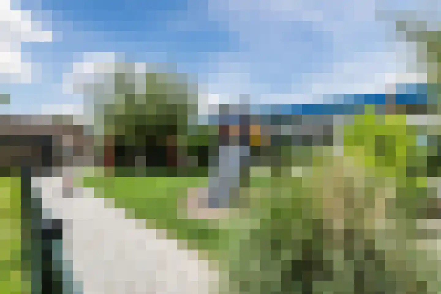 Zwanebloem 11 Bodegraven thumbnail 72