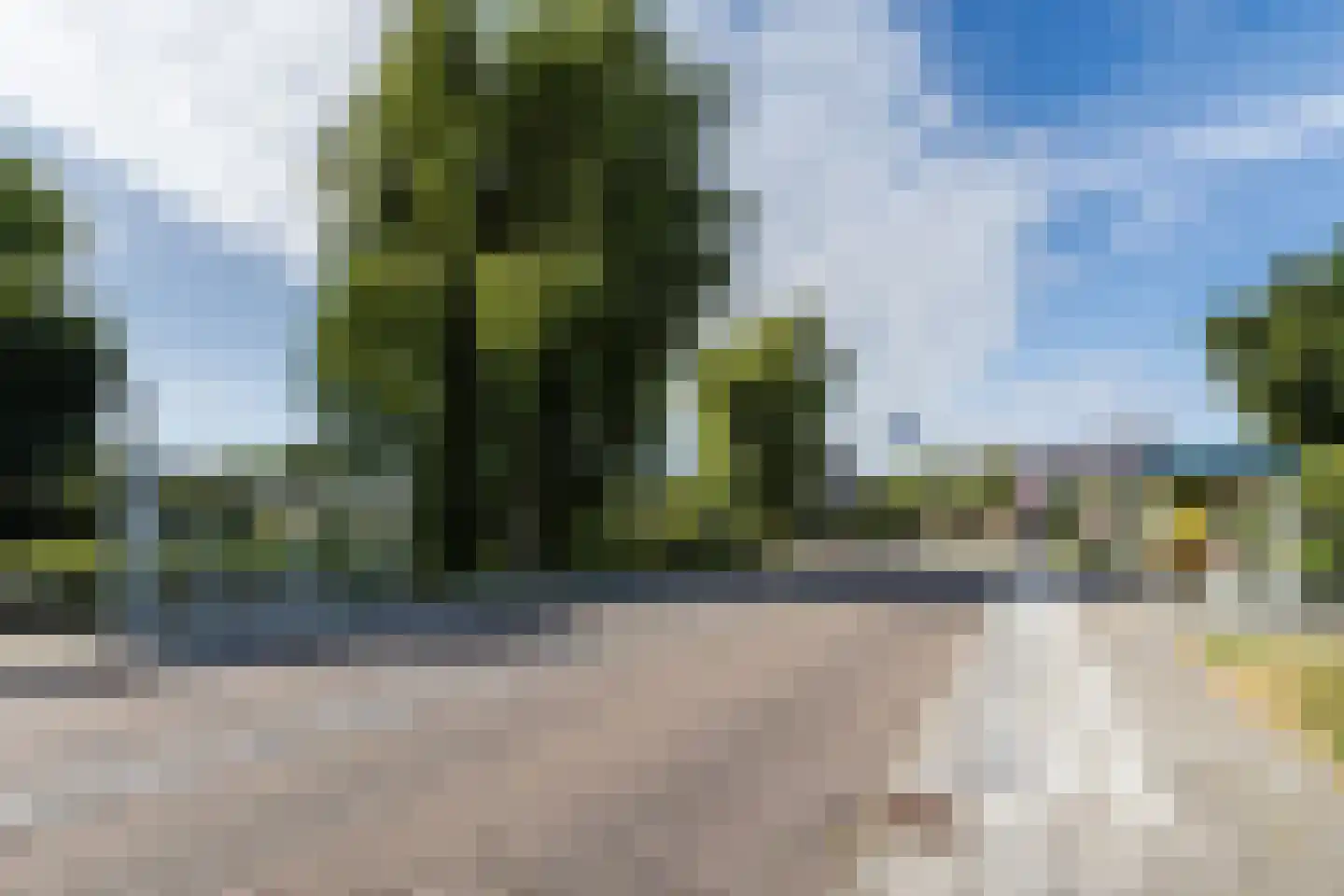 Zwanebloem 11 Bodegraven thumbnail 77