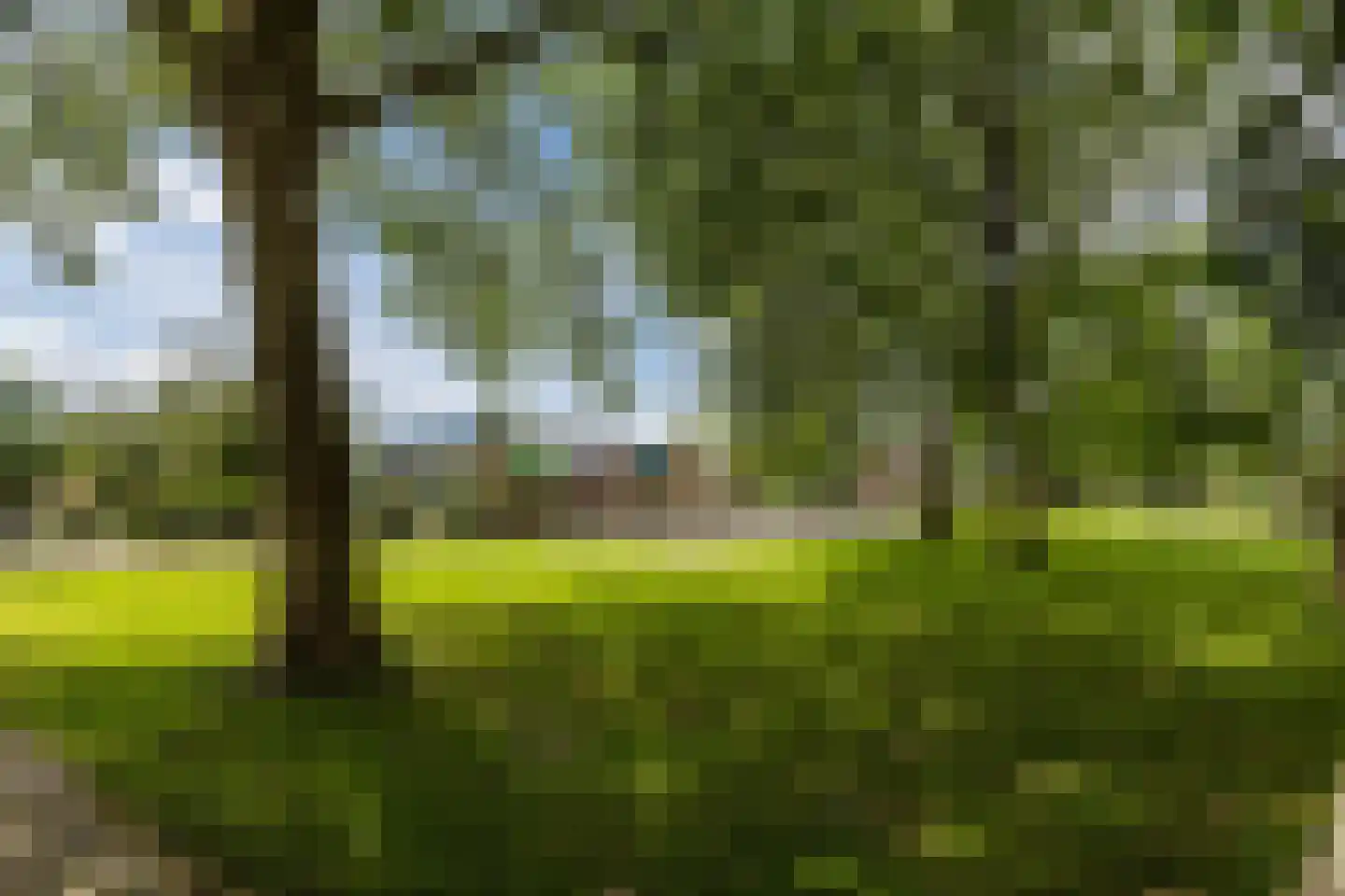 Zwanebloem 11 Bodegraven thumbnail 77
