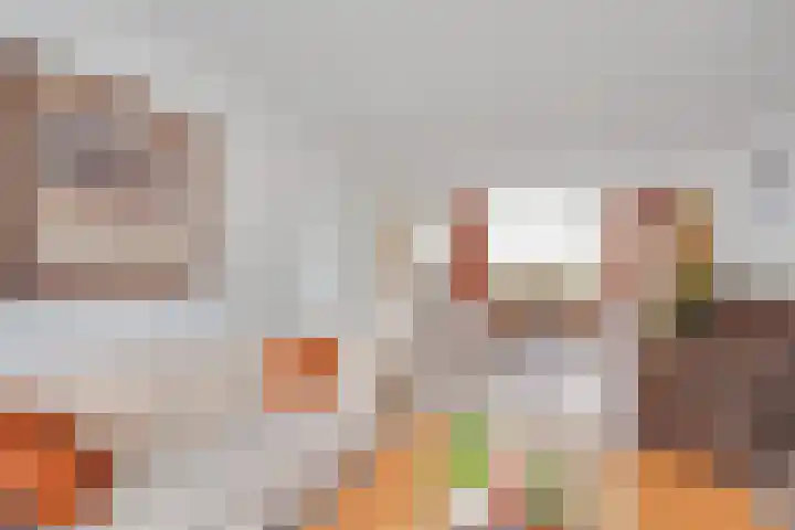 Zwanebloem 11 Elburg thumbnail 10