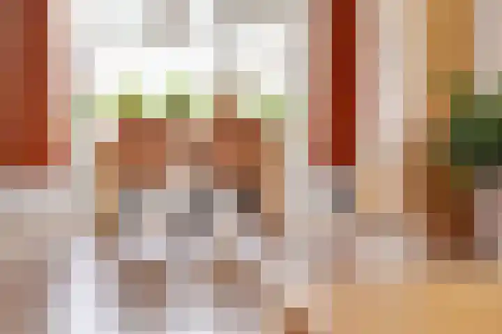 Zwanebloem 11 Elburg thumbnail 12
