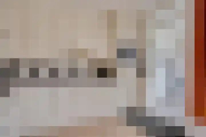 Zwanebloem 11 Elburg thumbnail 15