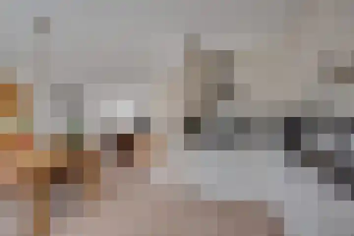 Zwanebloem 11 Elburg thumbnail 18