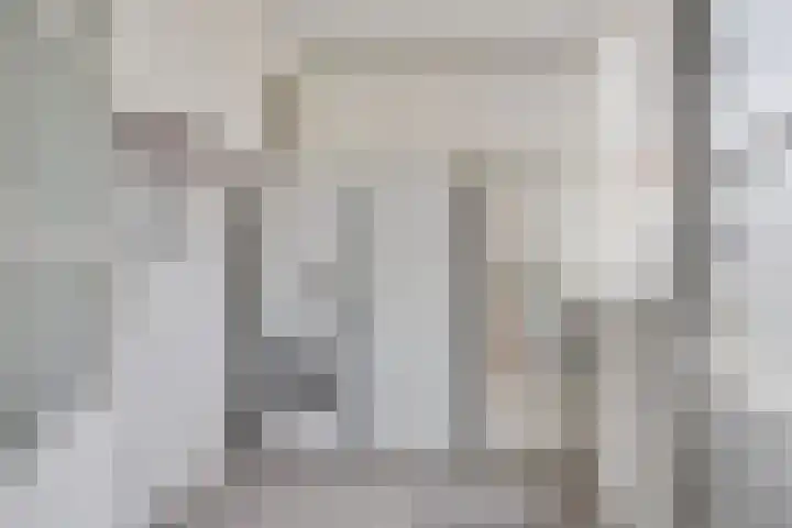 Zwanebloem 11 Elburg thumbnail 19