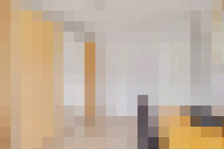 Zwanebloem 11 Elburg thumbnail 27