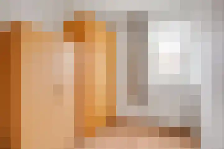Zwanebloem 11 Elburg thumbnail 28