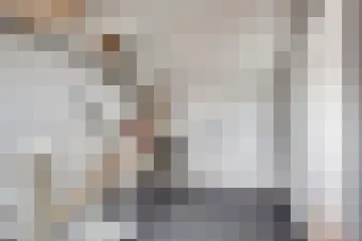 Zwanebloem 11 Elburg thumbnail 33