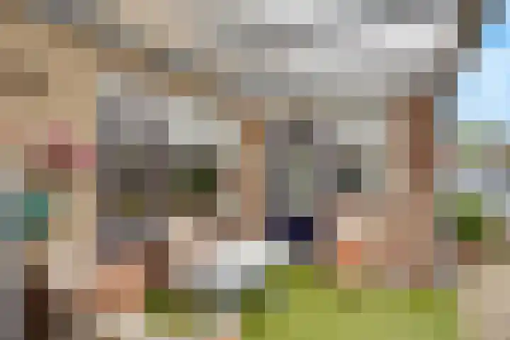 Zwanebloem 11 Elburg thumbnail 37