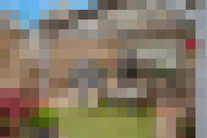 Zwanebloem 11 Elburg thumbnail 38