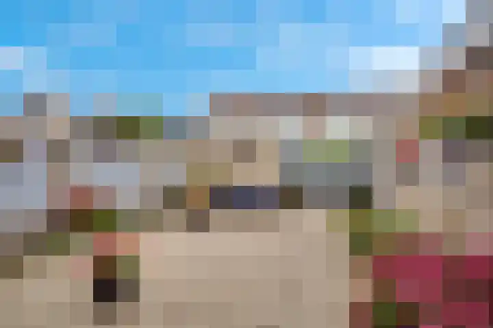 Zwanebloem 11 Elburg thumbnail 39