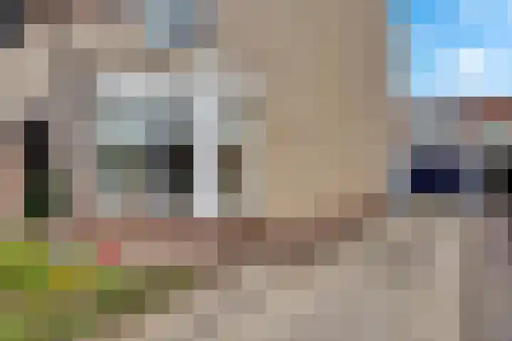 Zwanebloem 11 Elburg thumbnail 4