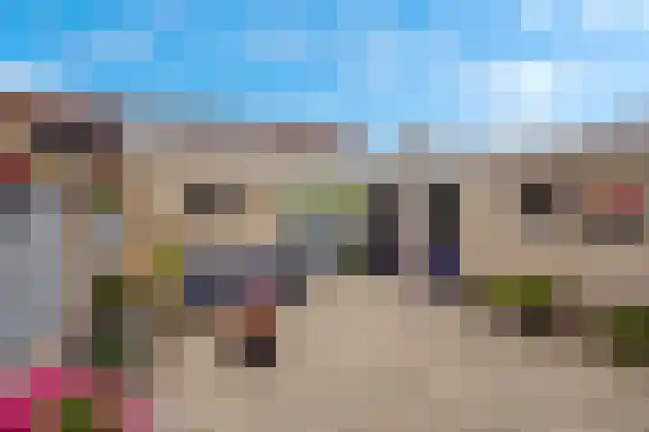 Zwanebloem 11 Elburg thumbnail 40