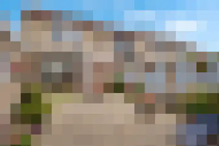 Zwanebloem 11 Elburg thumbnail 41